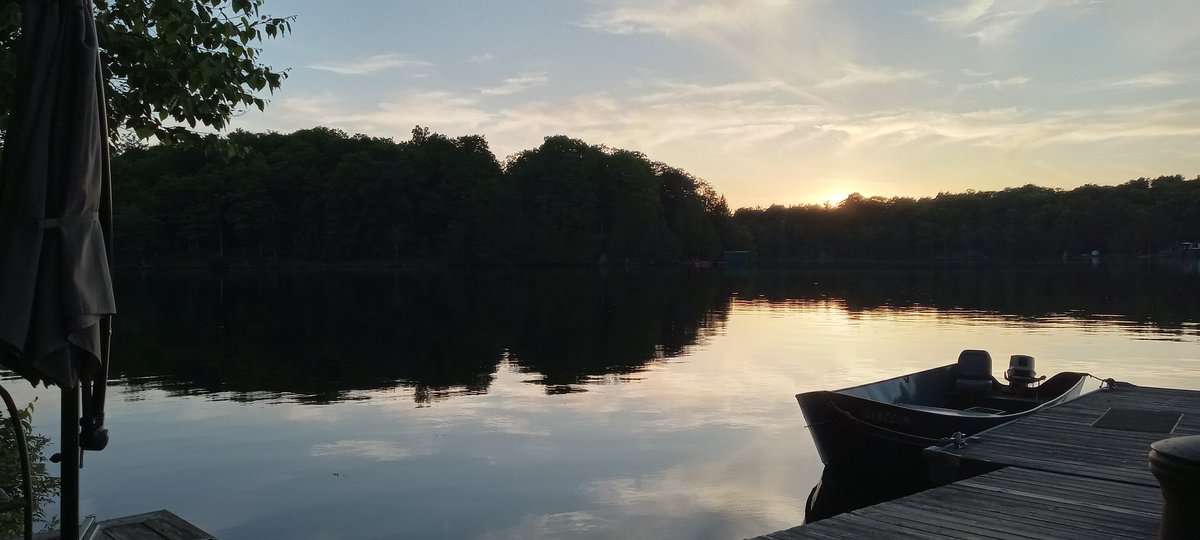 Cathy Goodfellow tweet media