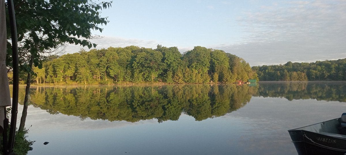 Cathy Goodfellow tweet media