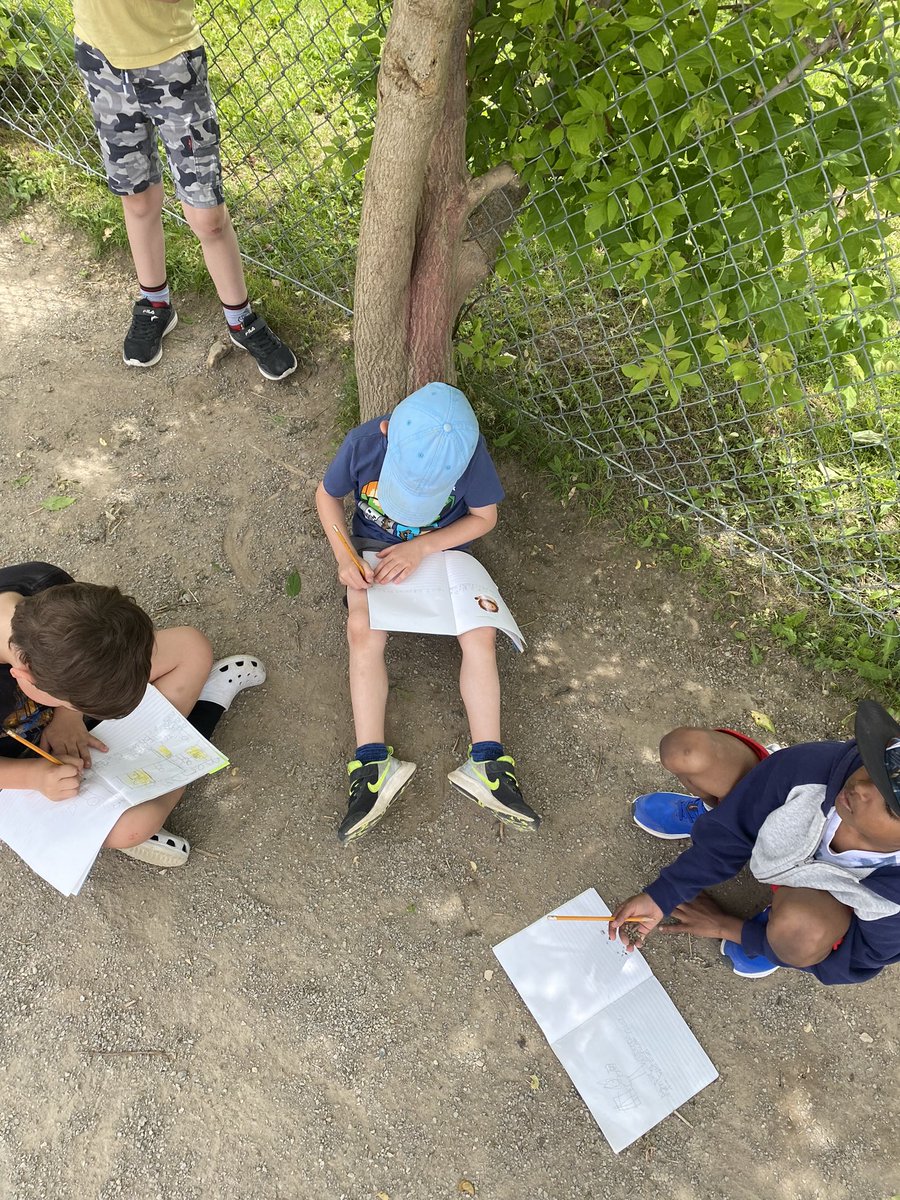 Ms. Rose tweet media