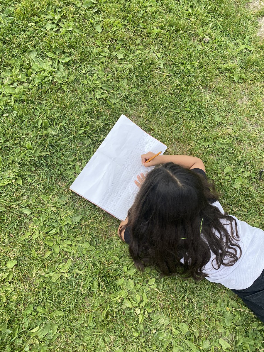 Ms. Rose tweet media