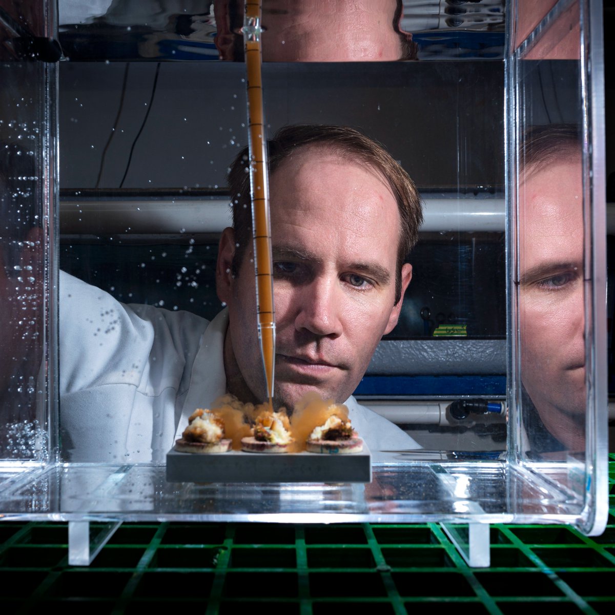 aims_gov_au's tweet photo. In our Symbiont Culture Facility @MattRNitschke grew heat-evolved symbionts, increasing the temperature they can tolerate. These symbionts were introduced to coral to increase their heat tolerance too. Enhancing the heat tolerance of corals supports restoration efforts. #RRAP https://t.co/em806cE1tK