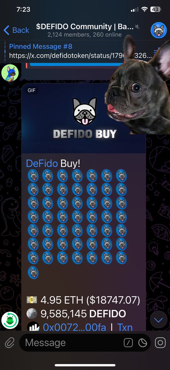 vuanh2512's tweet photo. @Regrets10x $DEFIDO is the one. Passing trhough last bear and a lot of insane events but we are still here with the community, we never leave!!!!
Why? Because we are the top dog with best narrative on #Base, an OG dog from #Coinabase tweet!!!
@defidotoken https://t.co/n4A78ooe2Y