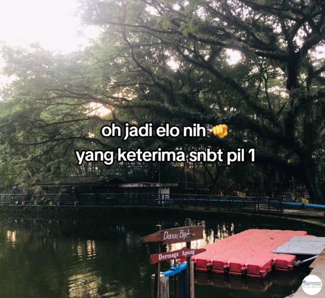 CEK PINNED! tweet media
