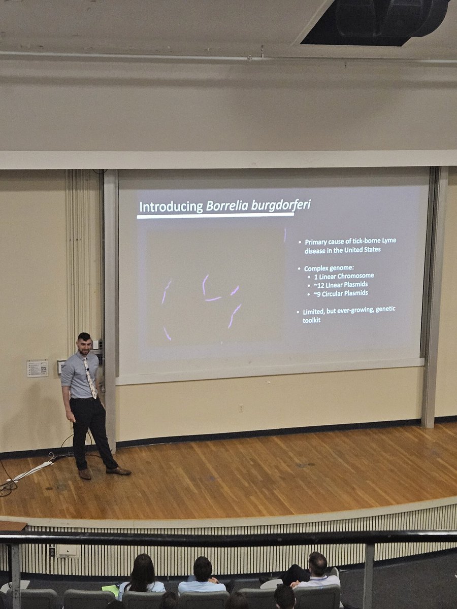 Boston Bacterial Meeting (BBM) tweet media