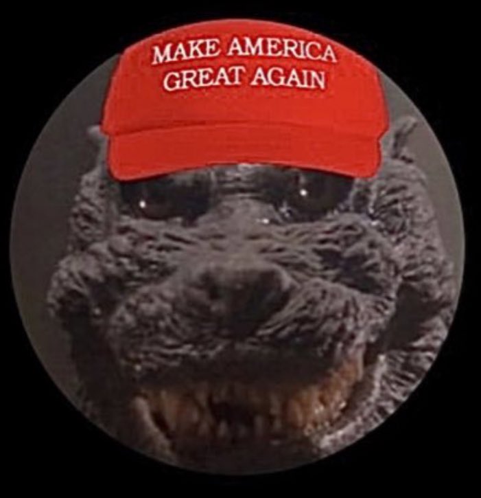 OnlyinFlorida2's tweet image. MAGA is Godzilla!! The more you attack him the stronger he gets!!
#MAGAGODZILLA