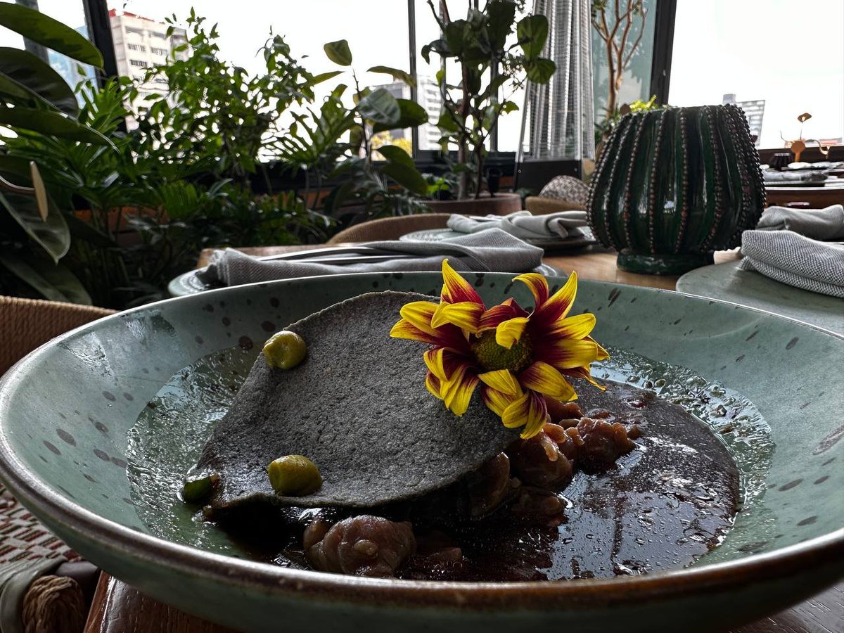 FoodandTravelMX's tweet photo. En Colima 161 se encuentra el restaurante #Altanera. El estandarte es la gastronomía mexicana con productos de mar y tierra. Como entrada es delicioso el tartar de cecina o el ceviche de totoaba. @lulachef https://t.co/cElknQ1lgu