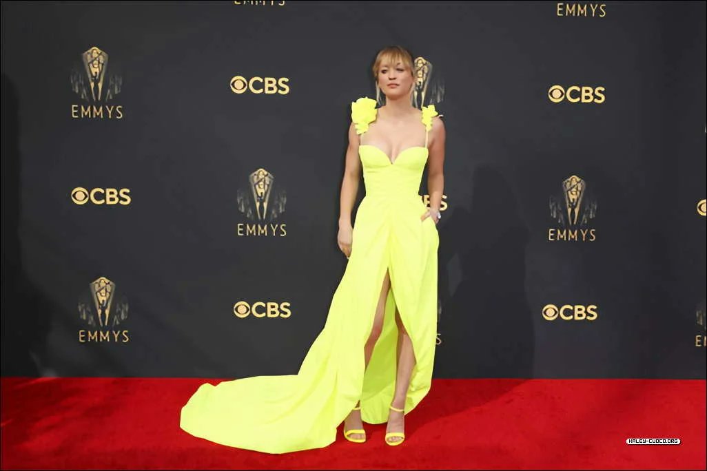 cuocoaddict23's tweet image. 