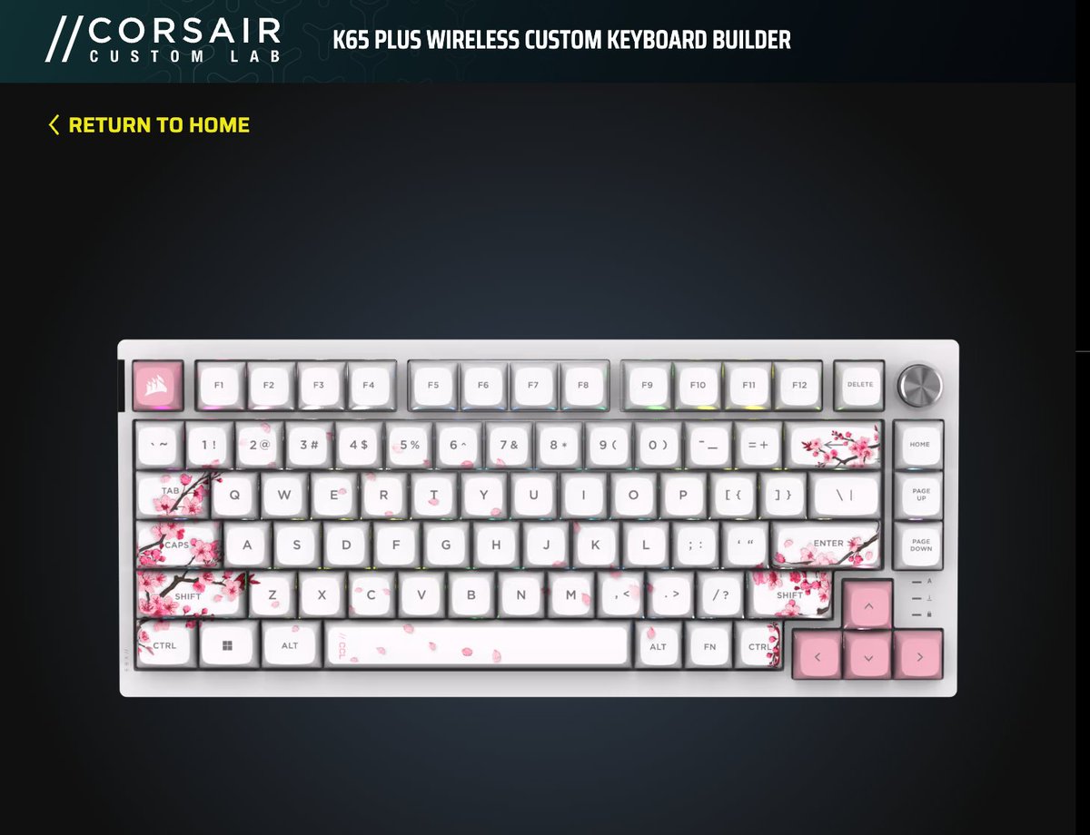 brevisii's tweet photo. @imfallfromgrace @CORSAIR Wow the Cherry Blossom K65 is sick, I love it! https://t.co/x5D9Eq3lpV