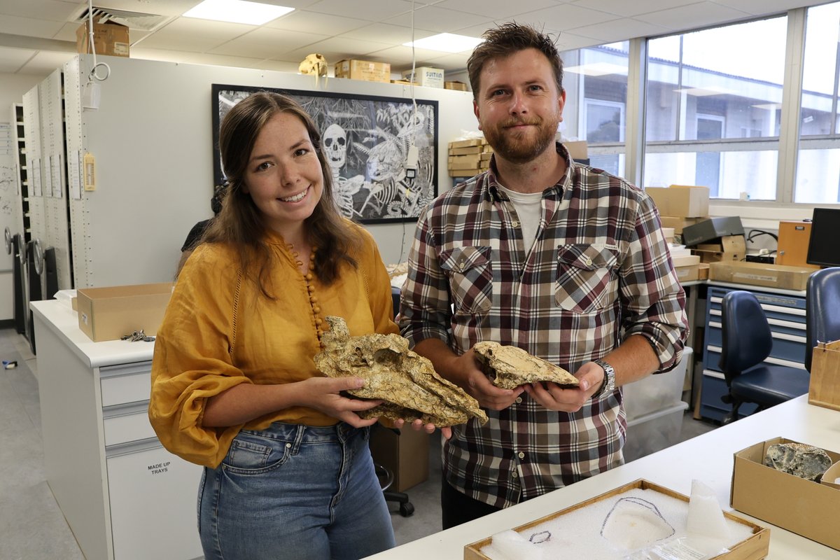 Jacob C. Blokland (@blokoweka) on Twitter photo We have lift-o—uugh… run off? Today, our description of the skull of 𝘎𝘦𝘯𝘺𝘰𝘳𝘯𝘪𝘴 𝘯𝘦𝘸𝘵𝘰𝘯𝘪, which was a major part of <a href="/Phoebyornis/">Dr Phoebe McInerney</a>'s PhD thesis, is published in Historical Biology.
It's great to finally put a face to a name!
#birds #fossils #palaeontology We have lift-o—uugh… run off? Today, our description of the skull of 𝘎𝘦𝘯𝘺𝘰𝘳𝘯𝘪𝘴 𝘯𝘦𝘸𝘵𝘰𝘯𝘪, which was a major part of <a href="/Phoebyornis/">Dr Phoebe McInerney</a>'s PhD thesis, is published in Historical Biology.
It's great to finally put a face to a name!
#birds #fossils #palaeontology