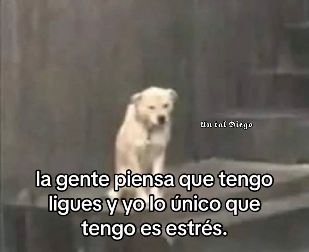 xvnsajd's tweet photo. sí https://t.co/kmH9pv8wm5