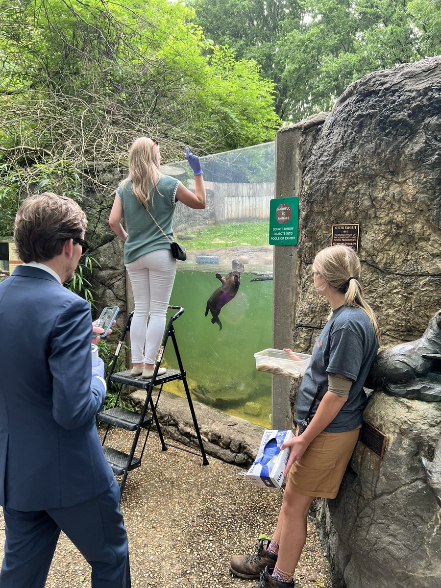 Marcus Trent tweet media