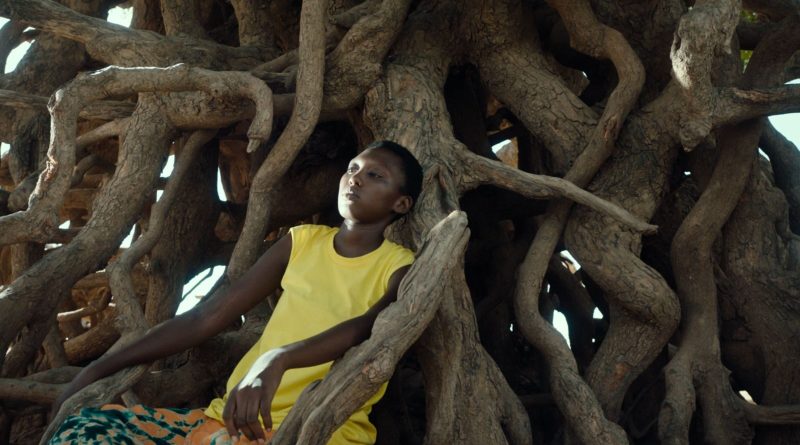 Read @jen4green's glowing review of director Ramata Toulaye-Sy's directorial debut #BanelAndAdama, which says is multilayered & she calls fascinating & visually stunning: awfj.org/blog/2024/06/0…