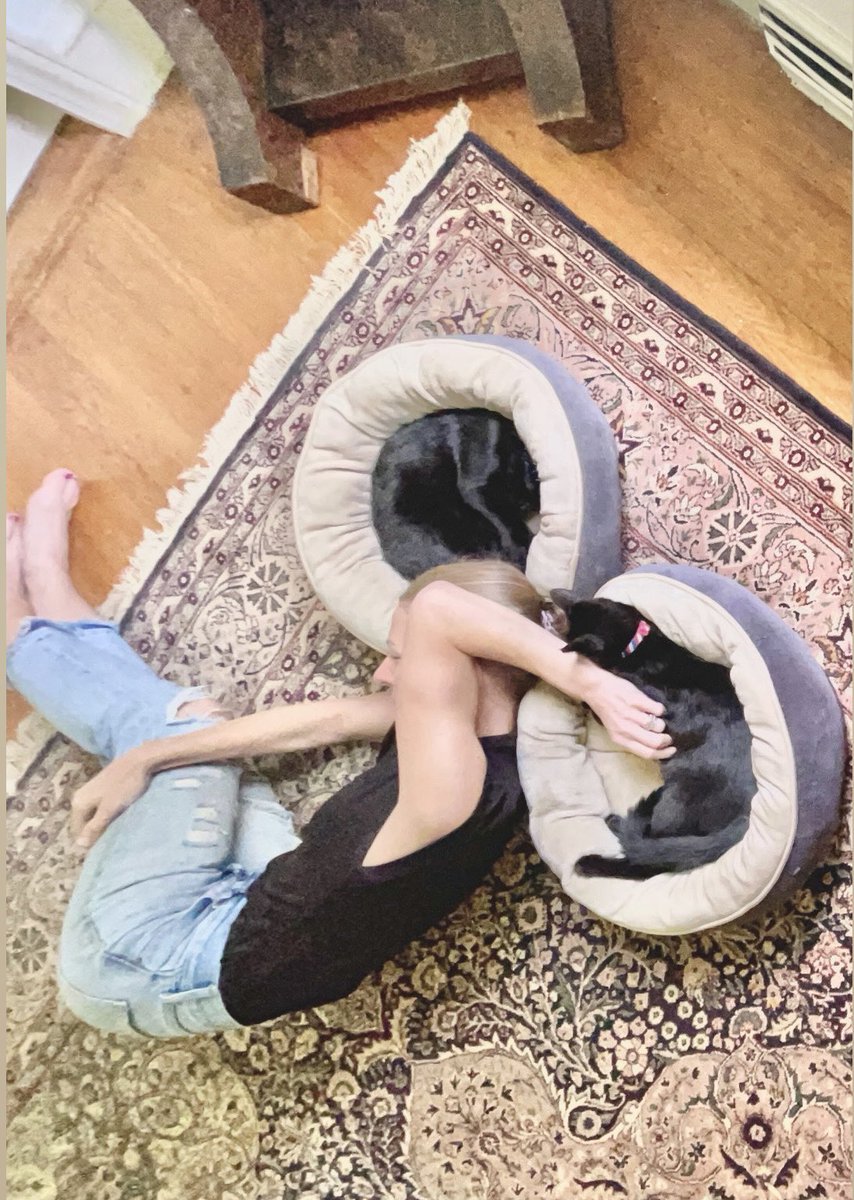HeyGenerals's tweet photo. #catnap #blackcat https://t.co/IIx1VXQoe5