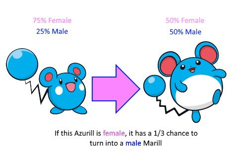 female azuril have a chance to evolve into male marill but Okay