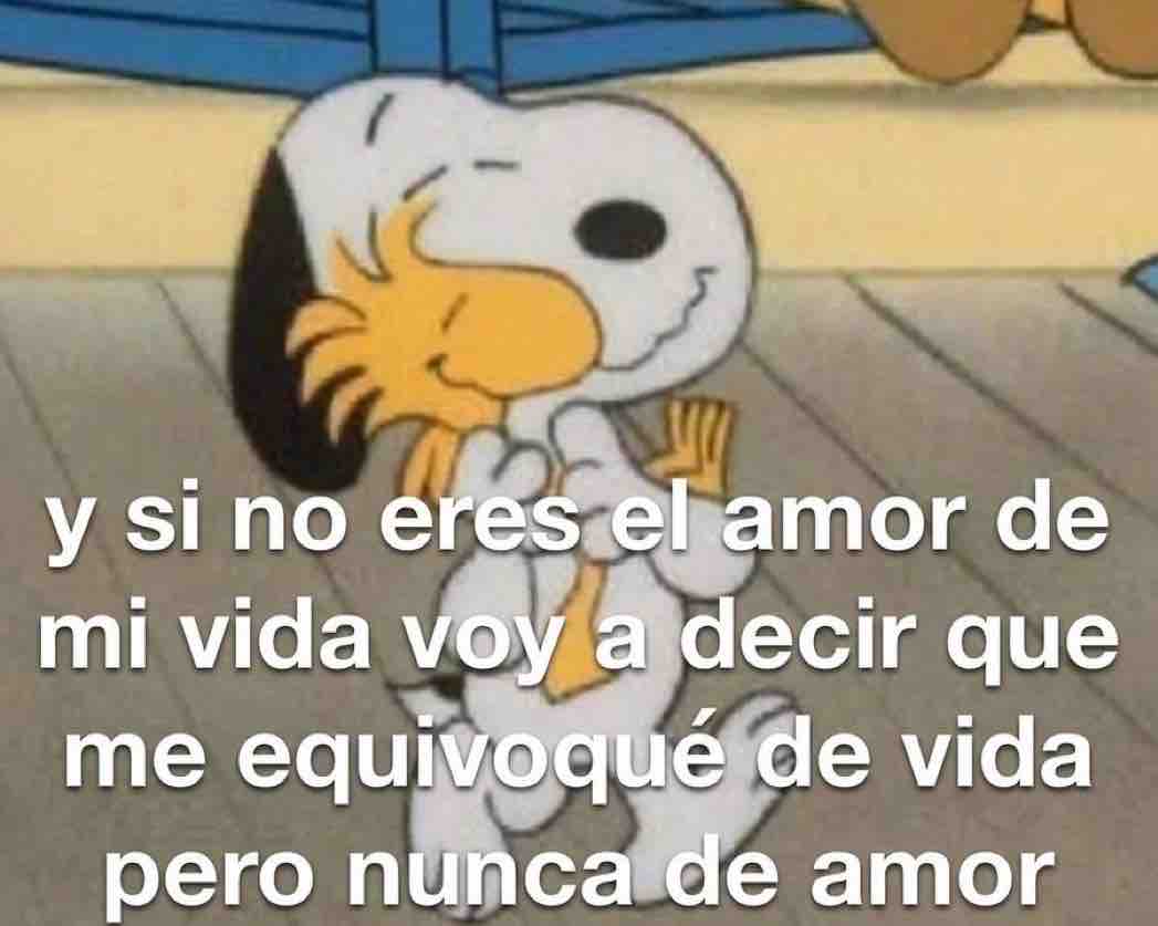 Guarromantico_'s tweet photo. 🥰🥰 https://t.co/UDF0Dq02gs
