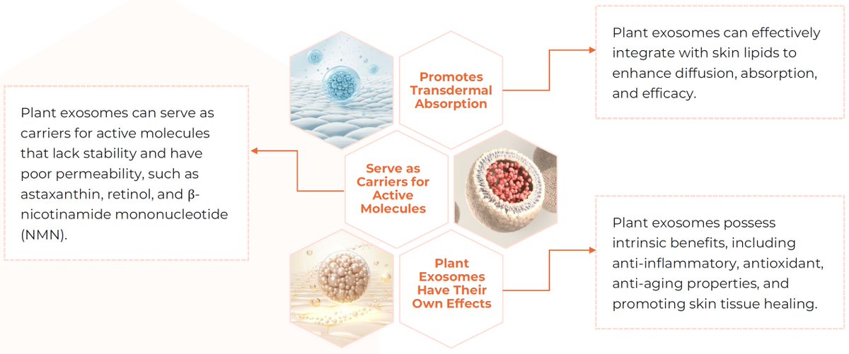 Creative Biostructure on X: &ldquo;We invite researchers to discover the 