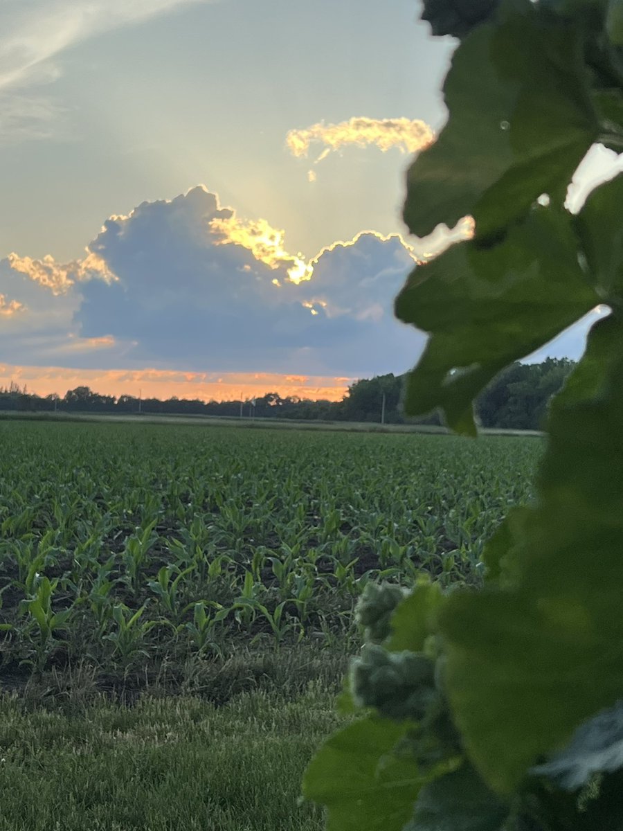 June sunset, gorgeous evening. What happened to May?