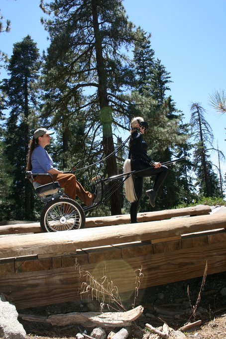 Pony Play in Sequoia National Park https://t.co/MCjwo7Wmwt