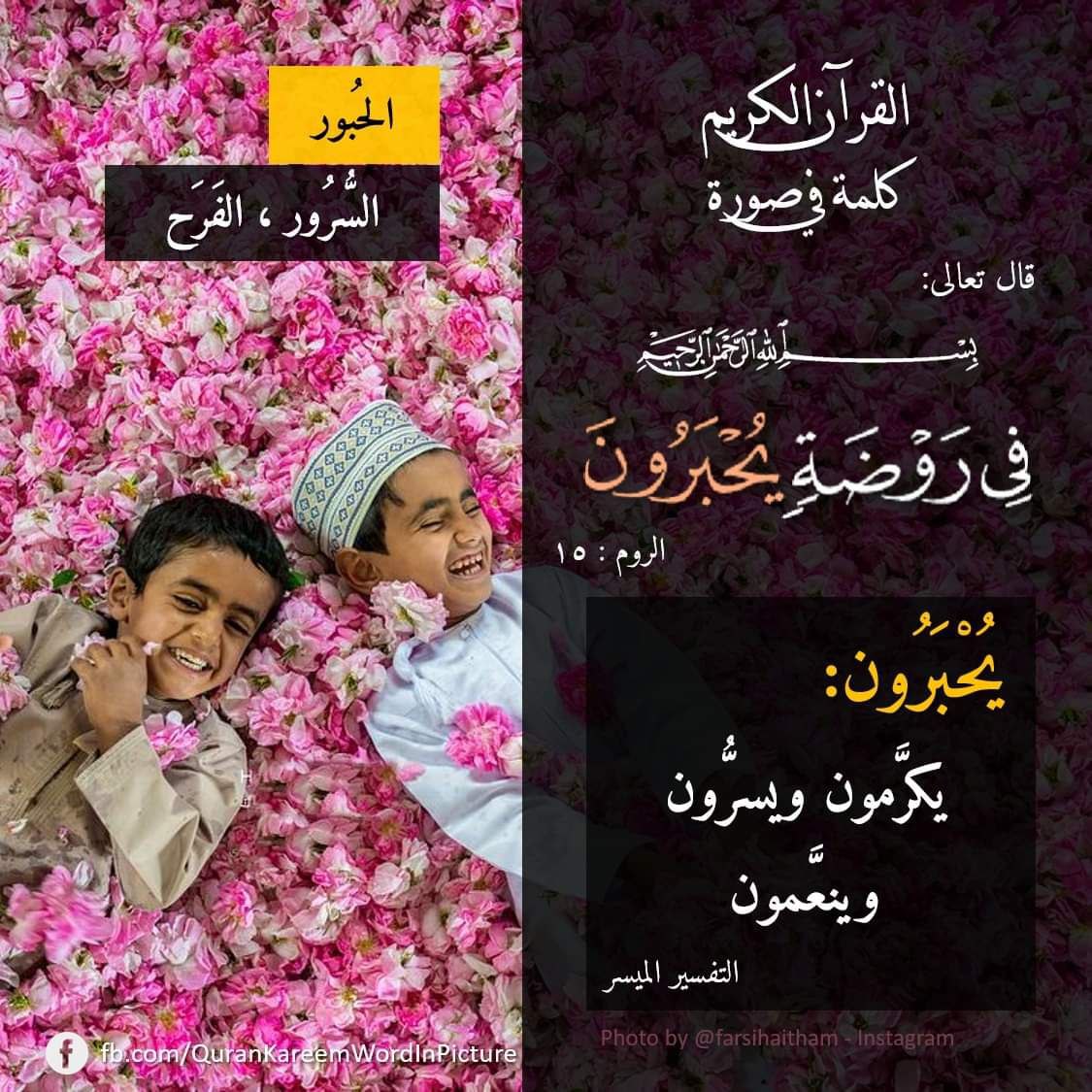 طه إبراهيم الكارم tweet media