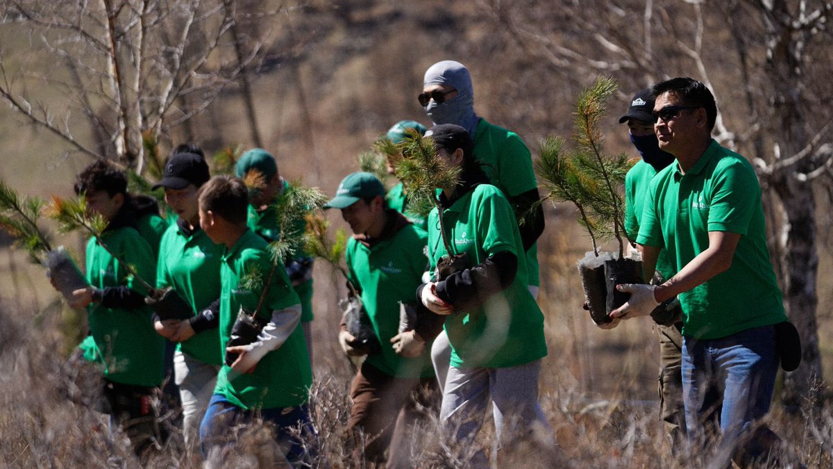 Бидний БОГД УУЛнд тарьсан хуш моднуд маань сайхан нахиалжэ. Уг нь тарьцаар суулгасан модны зөвхөн 70% нь амьдрах чадвартай, хуш тарих бүр хэцү гэдэг. Баярлуштай нь БОГД УУЛнд тарьсан ХУШ ТӨГӨЛ маань 95%тай амьдрч бн😍. Маш их итгэл төрж байна. Илү эрчтэй, далайцтай үргэлжлүлнэ.