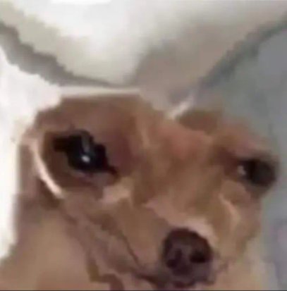 Yo viendo el video de martuli