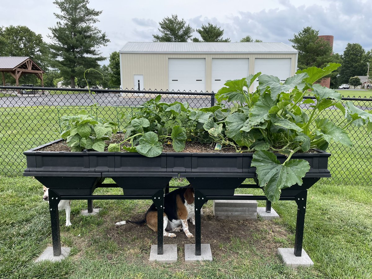 Corey Beagz tweet media