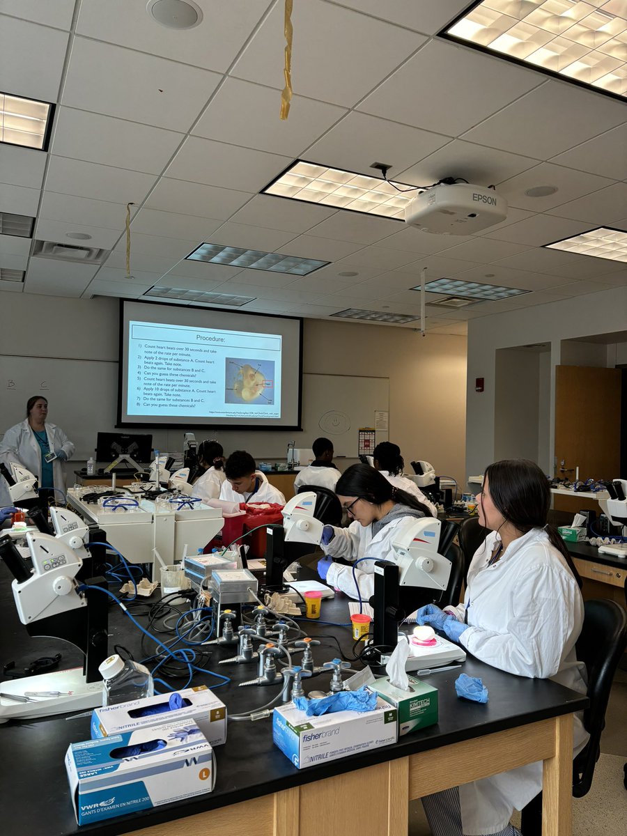 GRozumek's tweet photo. That wraps up Year 🔟 of Developing Future Biologists! #DFB2024 was absolutely amazing 🤩 I’m so grateful for all the incredible students & instructors I’ve been able to work with & I’m excited to see what the future holds for these aspiring scientists!! 🙌🏻 @DFB_UM https://t.co/Vm6XdKKqVN