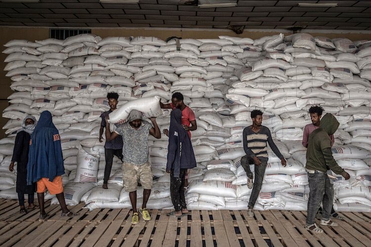 Geoffrey York tweet media