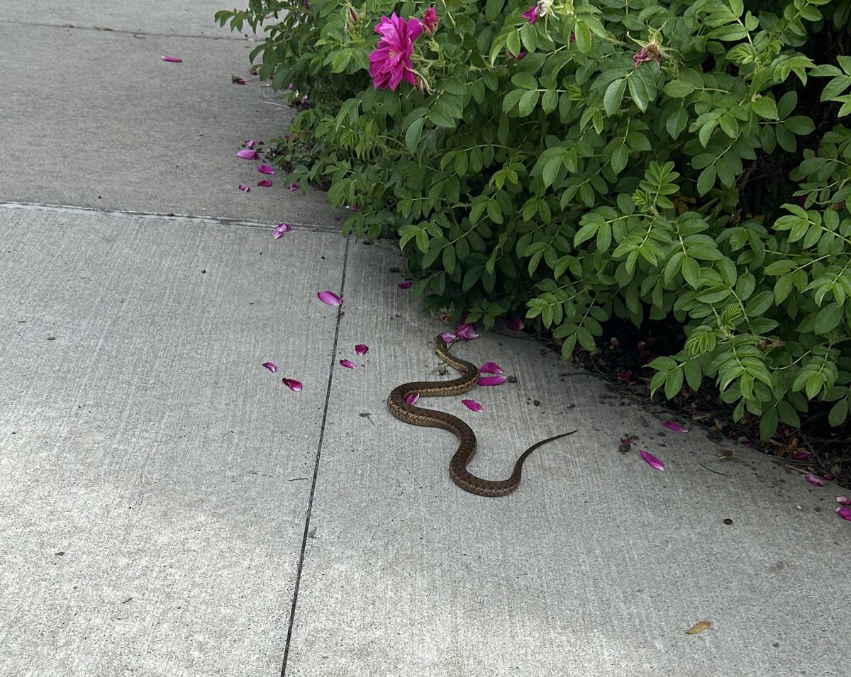 Blake Mitchell tweet media