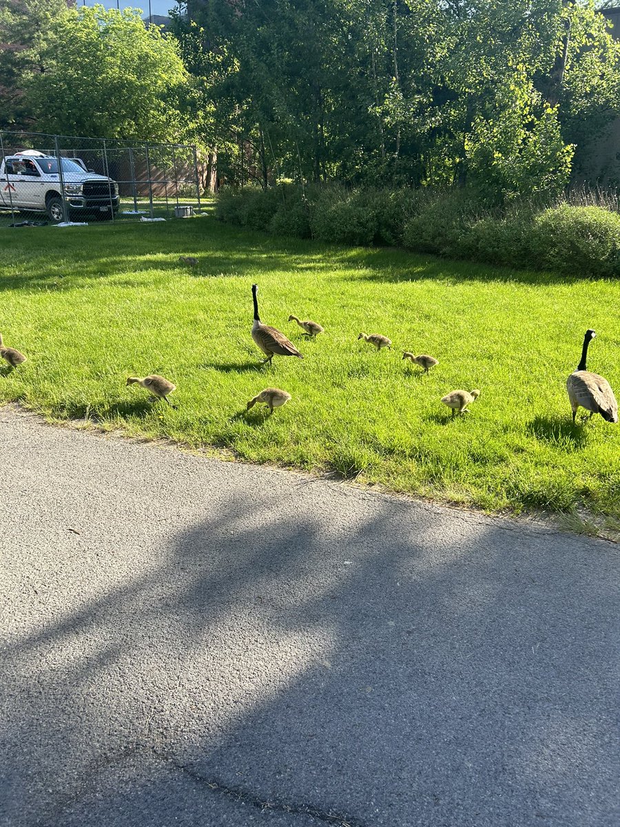 Blake Mitchell tweet media