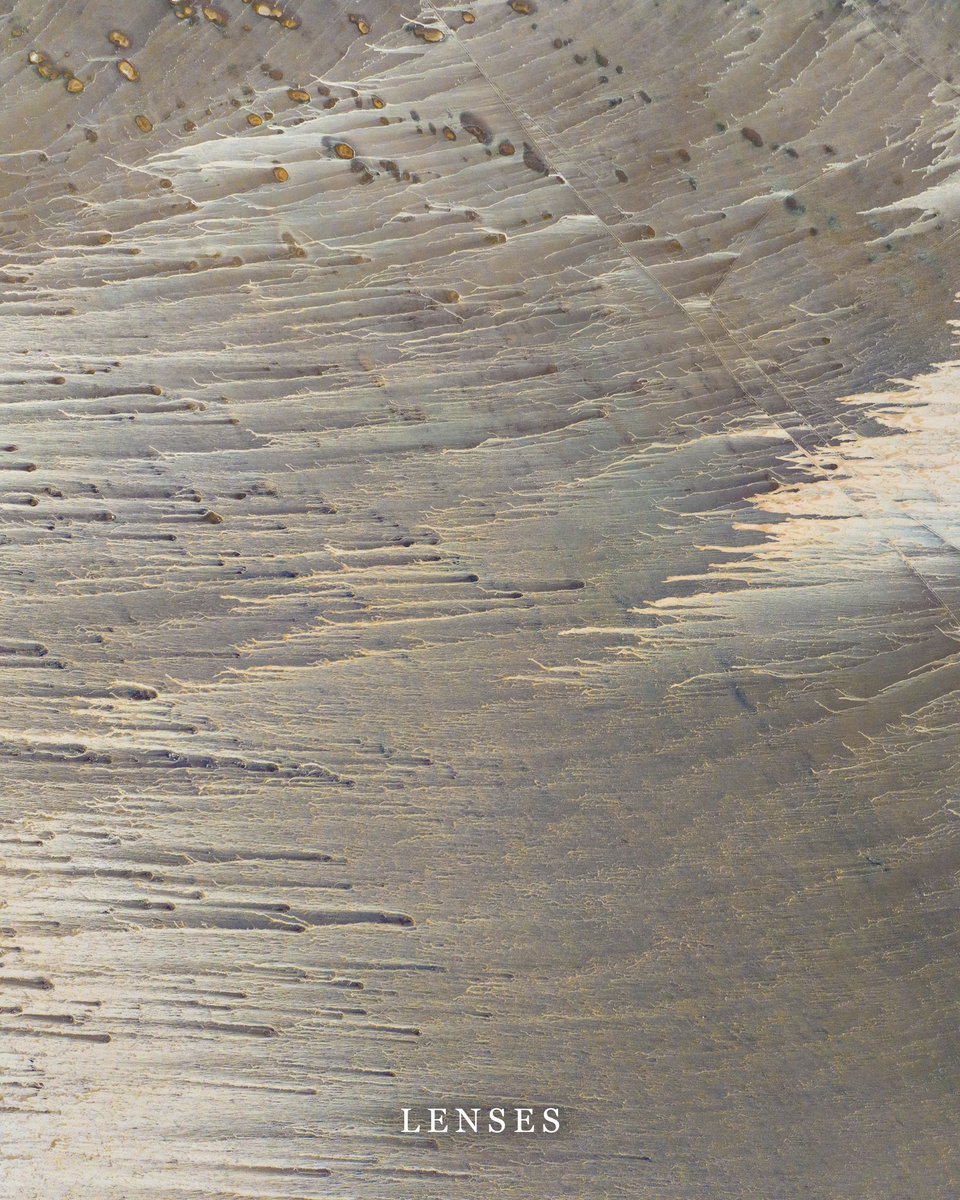 Global Citizen Club tweet media