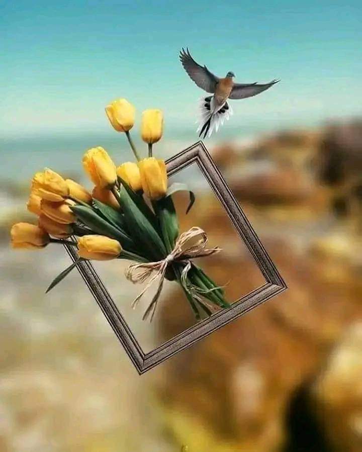 أشعُر بـطَيف ﺂلفَرح يَقتَرب مِني 
ﺂللهُمّ إرزُقني بـِقَدَر ظَنيَّ ﺂلجَميل ..
اللهم امين
صباحكم سكر