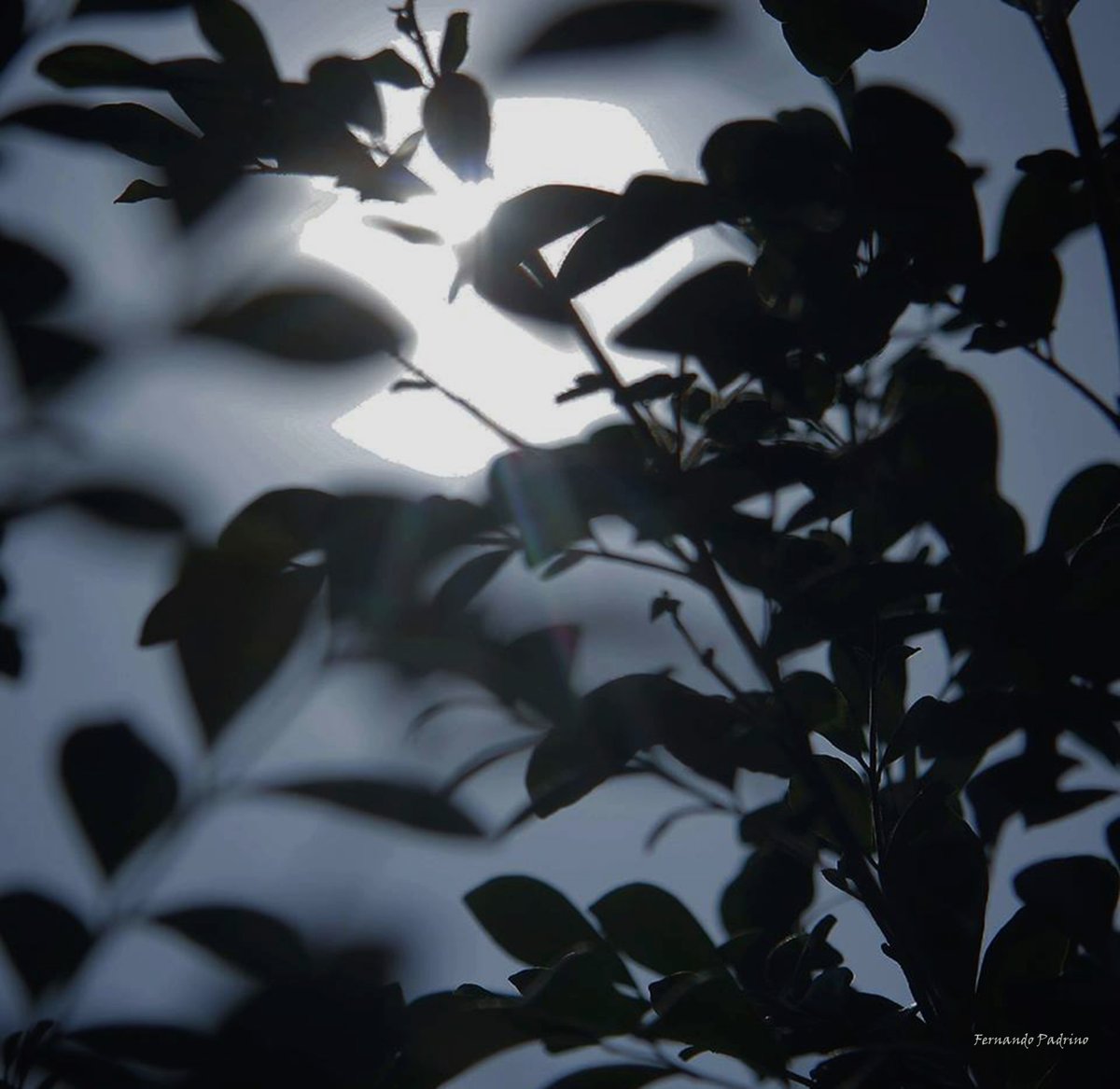 📸 #Fotografia Envolvente , imágenes para la tranquilidad y sencillez <a href="/VillegasPoljak/">Ernesto Villegas Poljak</a> <a href="/GMVivaVzla/">Gran Misión Viva Venezuela</a> <a href="/VeMisionCultura/">Misión Cultura</a> <a href="/CENAFotografia/">Centro Nacional de la Fotografía 📸</a> 

#3Jun ✔️