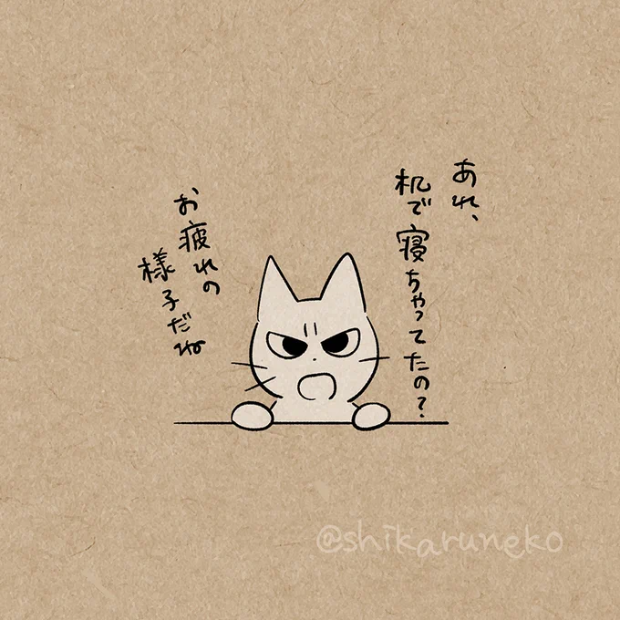 机で寝落ちする人を叱ってくれる猫 