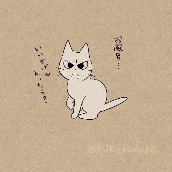 絶対お風呂に入りたいけどどうしてもめんどくさく感じてしまう人と、しかるねこと、あまやかすねこ 