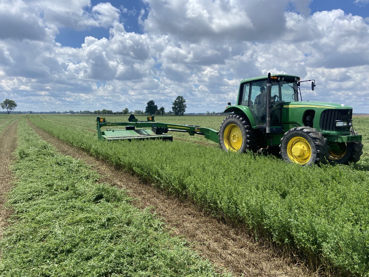 Last week was a great week to get our Pioneer alfalfa cut and baled. More than just corn and beans in Indiana!
