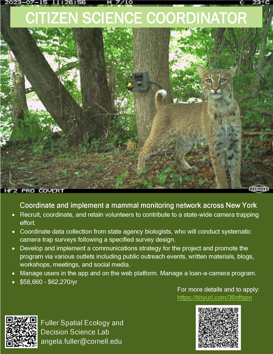 Angela Fuller (@fuller_lab) on Twitter photo Hiring a coordinator for a state-wide camera trapping program to monitor mammals in NY. <a href="/Cornell/">Cornell University</a> in Ithaca, NY. More details: tinyurl.com/36nftspn Please share/forward. Hiring a coordinator for a state-wide camera trapping program to monitor mammals in NY. <a href="/Cornell/">Cornell University</a> in Ithaca, NY. More details: tinyurl.com/36nftspn Please share/forward.
