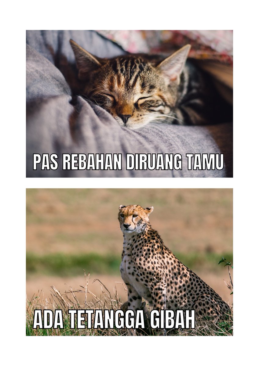 Farr2day's tweet image. Auto fokus
#Meme #gibah