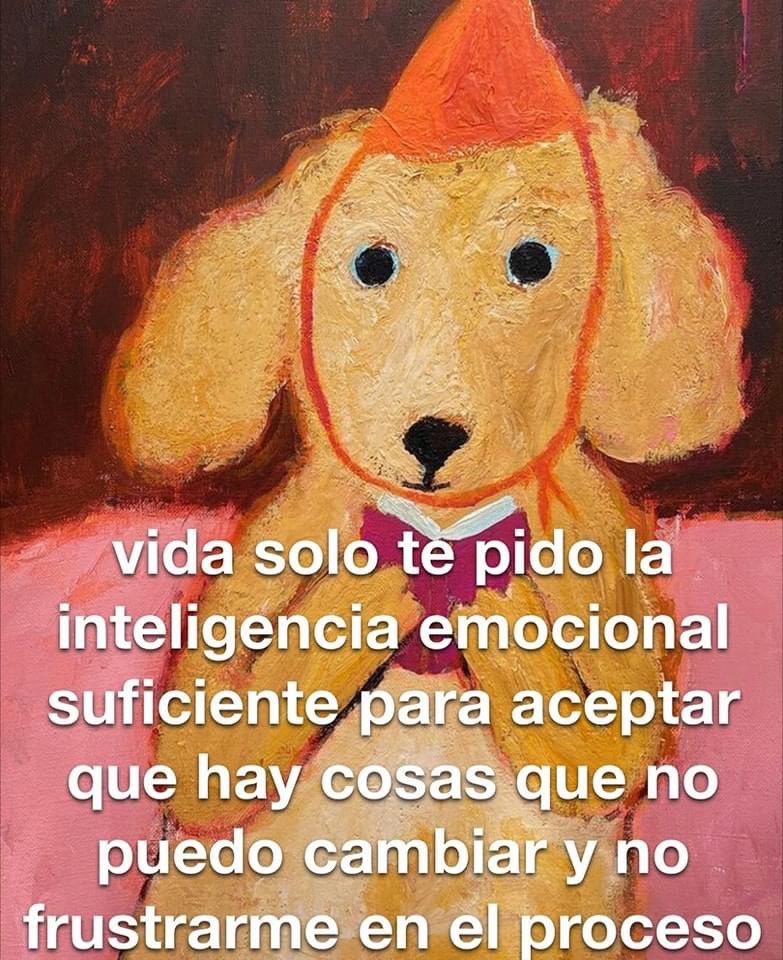 Danny Ocean 🐚🌊 tweet media