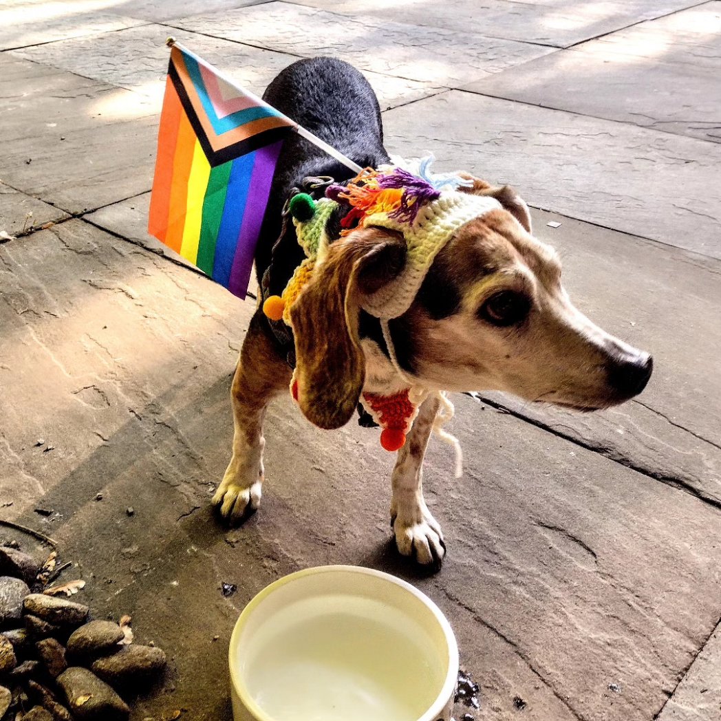 marker_bytes's tweet image. Happy Pride!