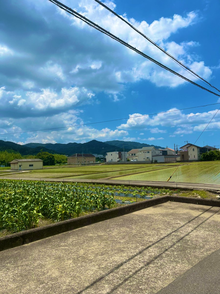 ace__0725_ya's tweet photo. 夏満載！ https://t.co/crnD9G8IzJ