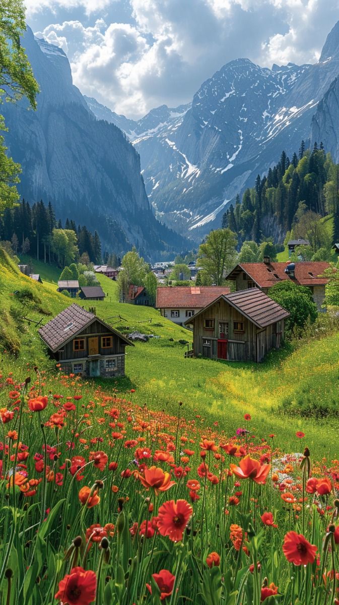 Nature Beauty tweet media