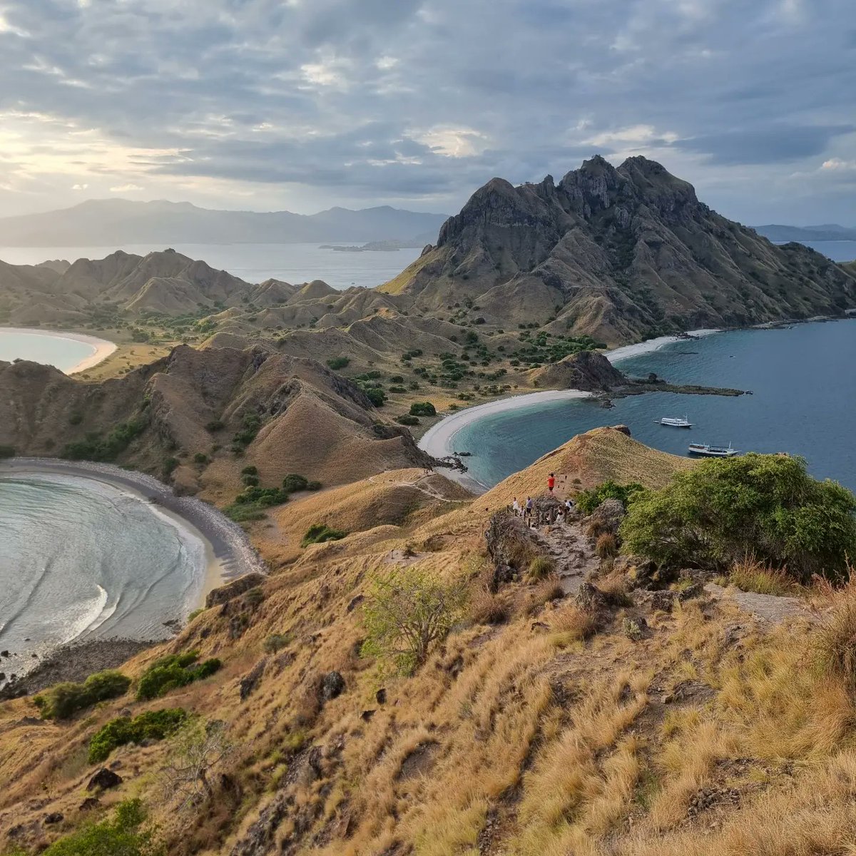 I visited Komodo NP a couple of weeks ago, a #UNESCO World Heritage Site. Land of incredible marine biodiversity, with stunning coral reefs, diverse marine life, and worldwide famous diving spots. More in comments 👇 (photos of mine).
#WorldHeritage #biodiversity #nature #komodo
