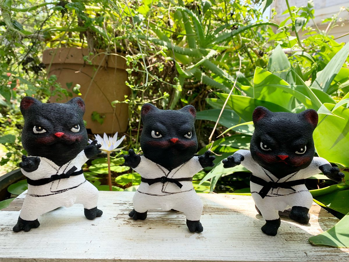 vivomad's tweet photo. 猫之目は
意外にも
剣道部だったよ
隣が柔道部だったよ
黒帯猫之目
よく見てもわかんないところに
よくわかんないこだわり
黒帯は革製
#秘密結社猫之目
@nekonome_himitsu
#クリエーターズマーケット
#vol50
#ポートメッセなごや
#6月22日23日
#ブースM239
(Mサイズの兄さん食うと覚えてね) https://t.co/HbUlMuzAew