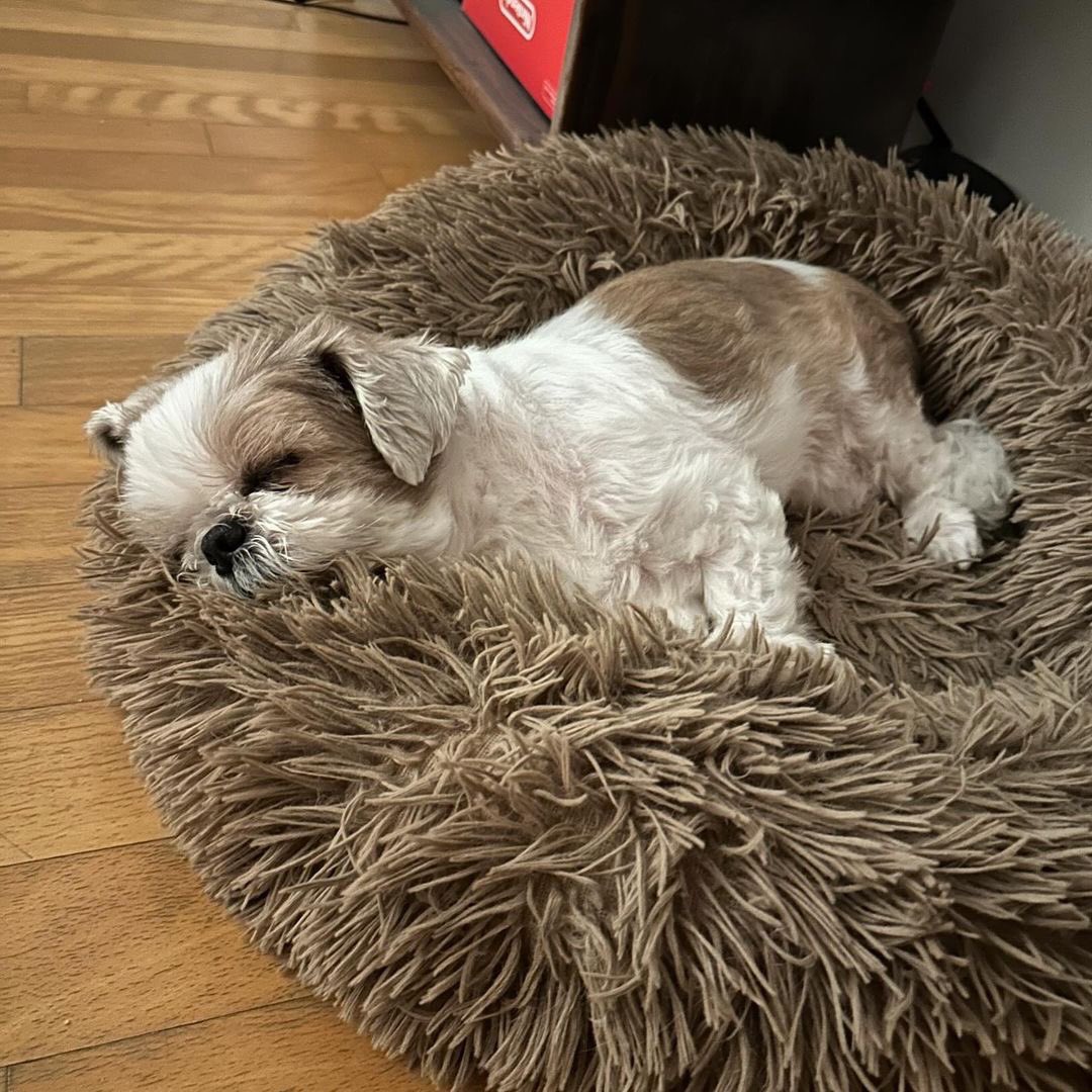 #uckstagram update!!
jaeuck.kim : ดาอึม🐶💤