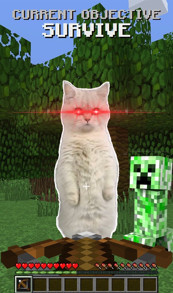 <a href="/dubzyxbt/">dubzy</a> $MIXY it’s trust 

pump.fun/8Wd9UcQUuqd9W6…