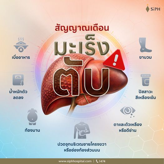 SiPHHospital's tweet photo. ผู้ป่วยมะเร็งตับส่วนใหญ่ในระยะแรกมักไม่มีอาการผิดปกติ
แต่หากตรวจพบระยะที่มีขนาดเล็กมีโอกาสรักษาหาย
#ตรวจคัดกรองมะเร็งตับ #มะเร็งตับ #ไวรัสตับอักเสบ #รักษาโรคมะเร็งตับ
#ศูนย์ทางเดินอาหารและตับ #HCCService
#Keyforcare #กุญแจสำคัญของการรักษา #SiPH #ศิริราชปิยมหาราชการุณย์ https://t.co/idih9NUz4E