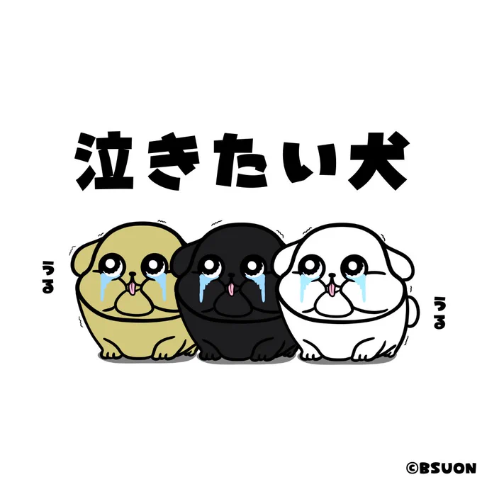 犬の新種 