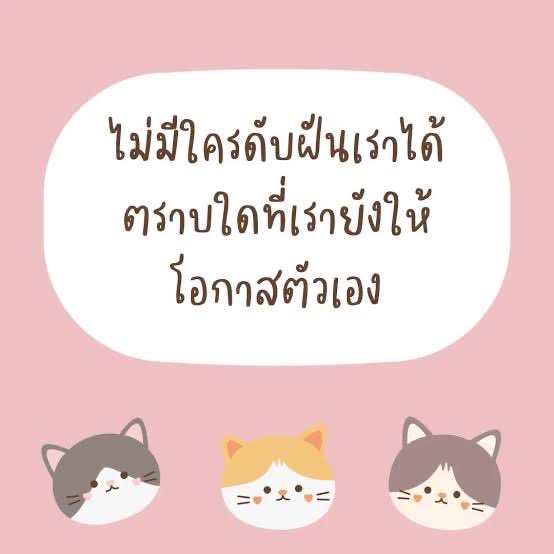 ᥫᩣ KKai ᥫᩣ🪐 tweet media