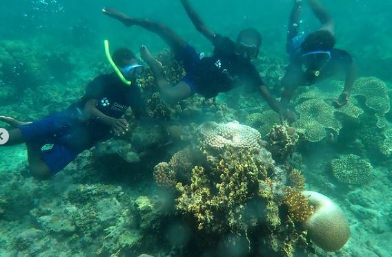ReefCloud (@reefcloud_ai) on Twitter photo Tunnung Island school students in #PNG have been conducting their own coral reef monitoring surveys under the guidance of local champion Clem Anton (supported by <a href="/coralseafound/">Coral Sea Foundation</a> & <a href="/seawomenofmela1/">seawomenofmelanesia</a>): stoked to see the next generation empowered with the latest tools to collect data! Tunnung Island school students in #PNG have been conducting their own coral reef monitoring surveys under the guidance of local champion Clem Anton (supported by <a href="/coralseafound/">Coral Sea Foundation</a> & <a href="/seawomenofmela1/">seawomenofmelanesia</a>): stoked to see the next generation empowered with the latest tools to collect data!